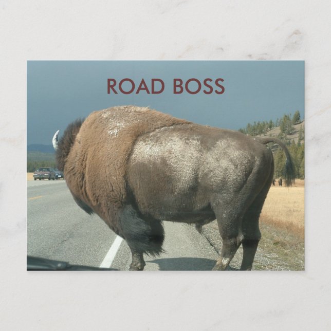 Cartão postal ROAD BOSS (Frente)