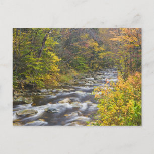 Cartão Postal Roaring Brook no outono em Vermont's Green 2