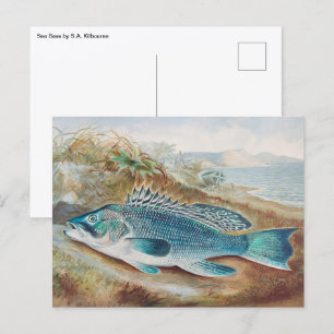 Cartão Postal Robalo por S.A. Kilbourne, Peixe Antigo