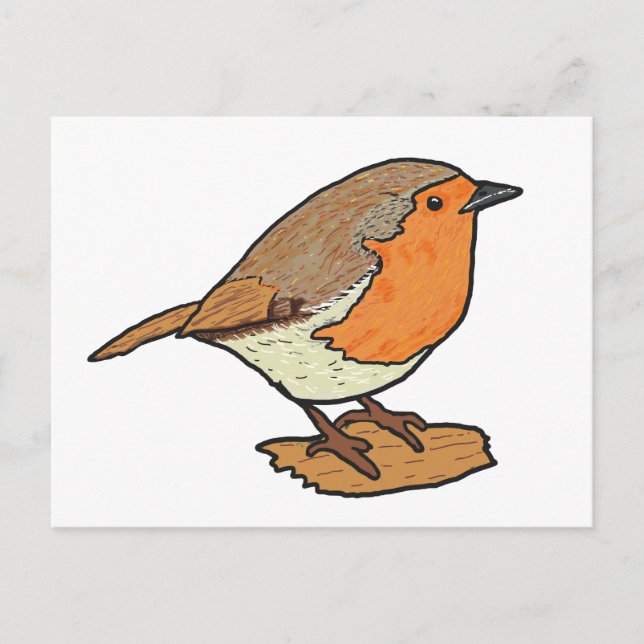 Cartão Postal Robin (Frente)