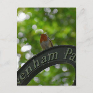 Cartão Postal Robin