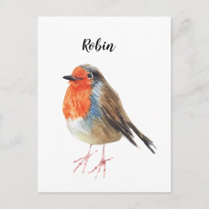 Cartão Postal Robin aquarela pintou pássaro. Belo cartão.