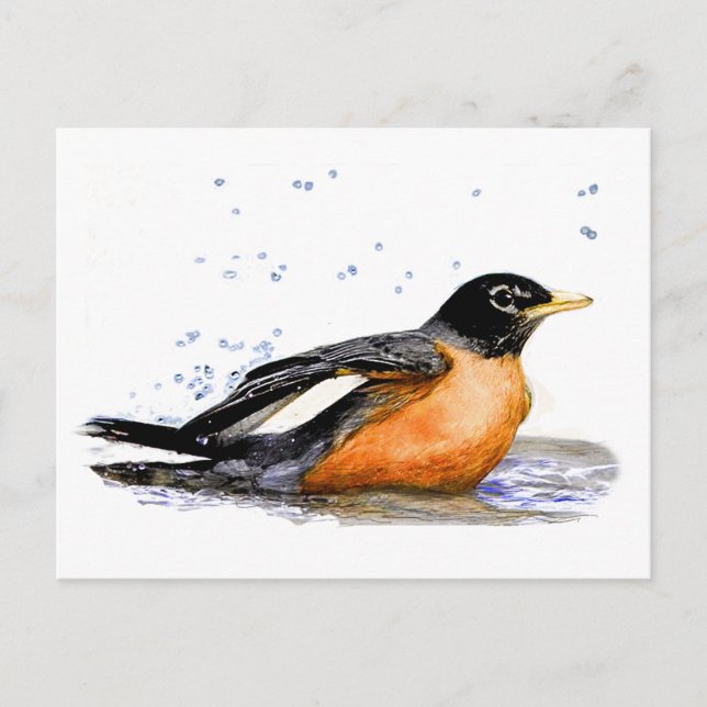Cartão Postal Robin Bathing (Frente)