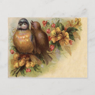 Cartão Postal Robin Bird Yellow Red Flower