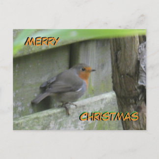 Cartão Postal Robin Cust. Cartão-postal Feliz de Natal