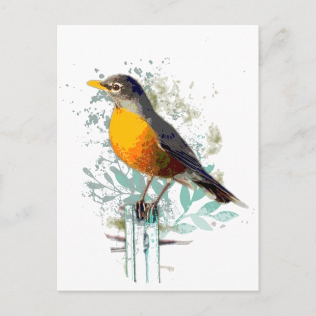 Cartão Postal Robin Garden Americano Bird Willife Nature Art (Frente)
