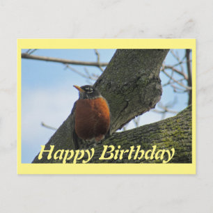 Cartão Postal Robin In Tree Photo Birthday