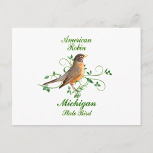 Cartão Postal Robin Michigan State Bird