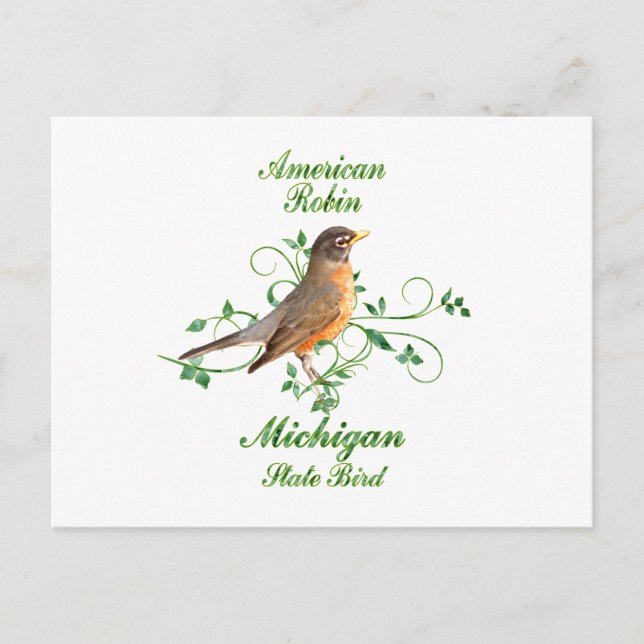 Cartão Postal Robin Michigan State Bird (Frente)