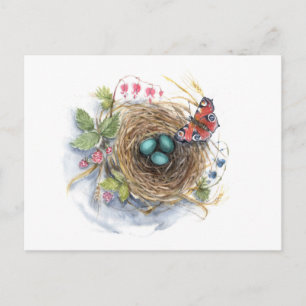Cartão Postal Robin Nest