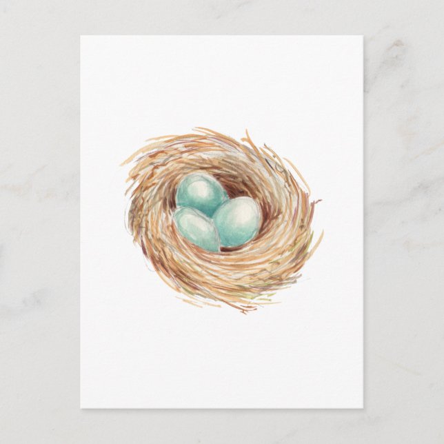 Cartão Postal Robin Nest Blue Watercolor (Frente)