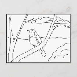 Cartão postal - Robin para Colorir