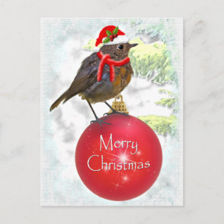 Cartão Postal Robin Postcard Ornamental