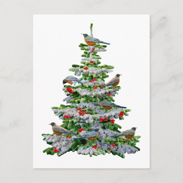 Cartão Postal Robin Tree (Frente)