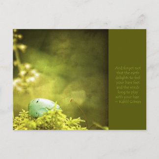 Cartão Postal Robins na Foto Moss com Cotação Inspiracional