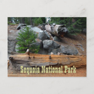 Cartão Postal Rochas e Árvores, Parque Nacional Sequoia