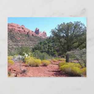 Cartão Postal Rochas Vermelhas e Cactos II na Arizona de Sedona