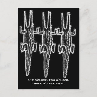 CARTÃO POSTAL ROCHE AO REDOR DA CROC