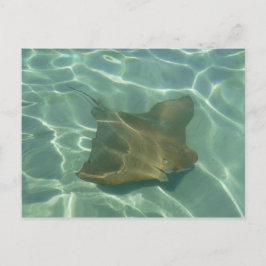 Cartão Postal Rochen im Meer Postkarte Grußkarte