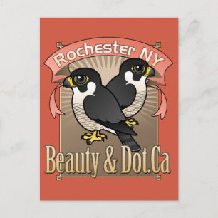 Cartão Postal Rochester Beauty & Dot.Ca