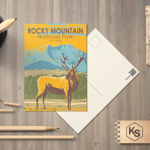 Cartão Postal Rocky Mountain National Park Colorado Elk Vintage