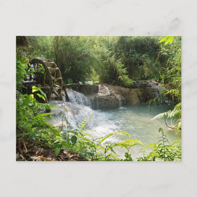 Cartão Postal Roda d'água no rio Forest, KhYoung Si Falls, Laos (Frente)