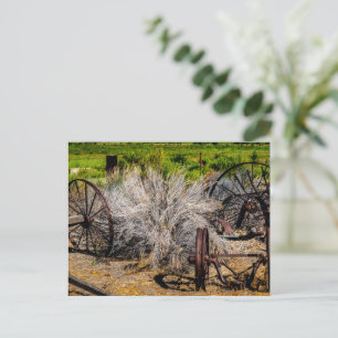 Cartão Postal Rodas de Rancho Histórico Brilhante
