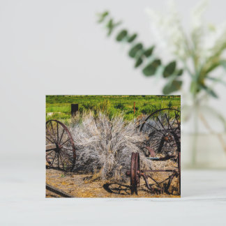 Cartão Postal Rodas de Rancho Histórico Brilhante