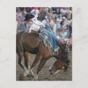Cartão Postal Rodeo Bucking Bronco