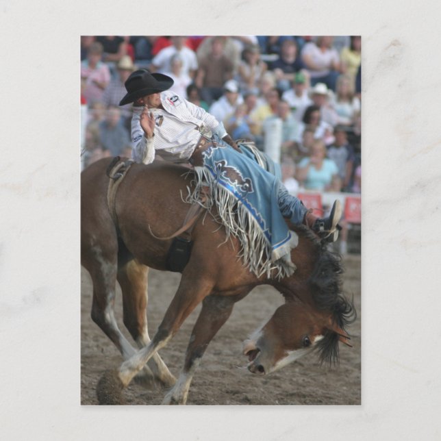 Cartão Postal Rodeo Bucking Bronco (Frente)