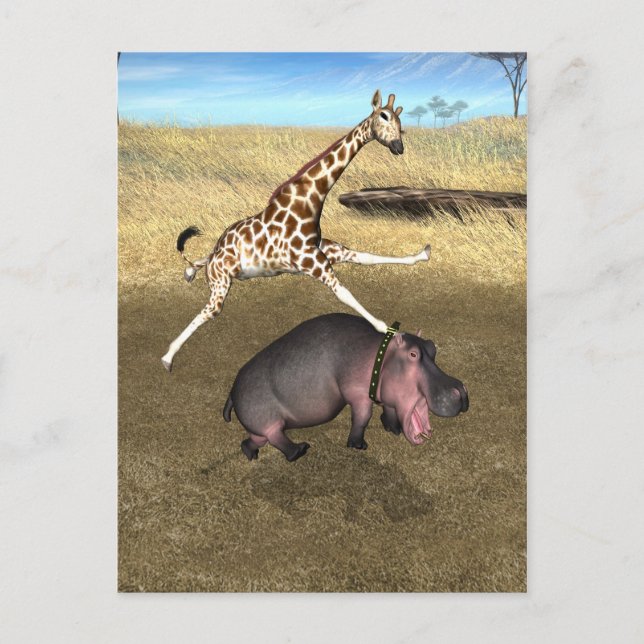 Cartão Postal Rodeo Hippo (Frente)