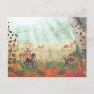 Cartão Postal Roe Deer Capreolus capreolus em Forest Sunlight