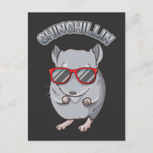 Cartão Postal Roedor giro Chinchilla com óculos escuros