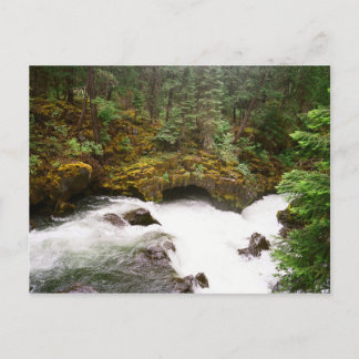 Cartão Postal Rogue River Lava Tube