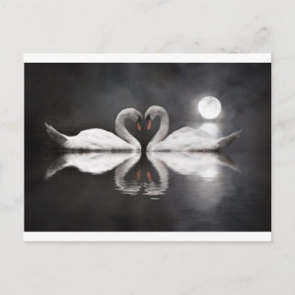 Cartão Postal Romance de cisne