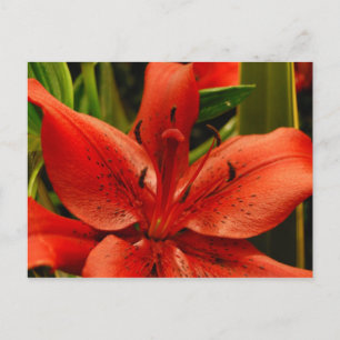 Cartão Postal Romance Russo