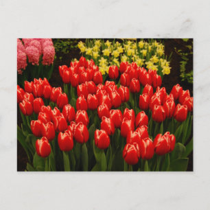 Cartão Postal Romance Russo