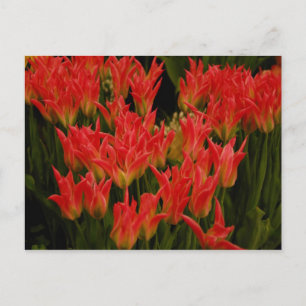 Cartão Postal Romance Russo