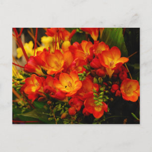 Cartão Postal Romance Russo