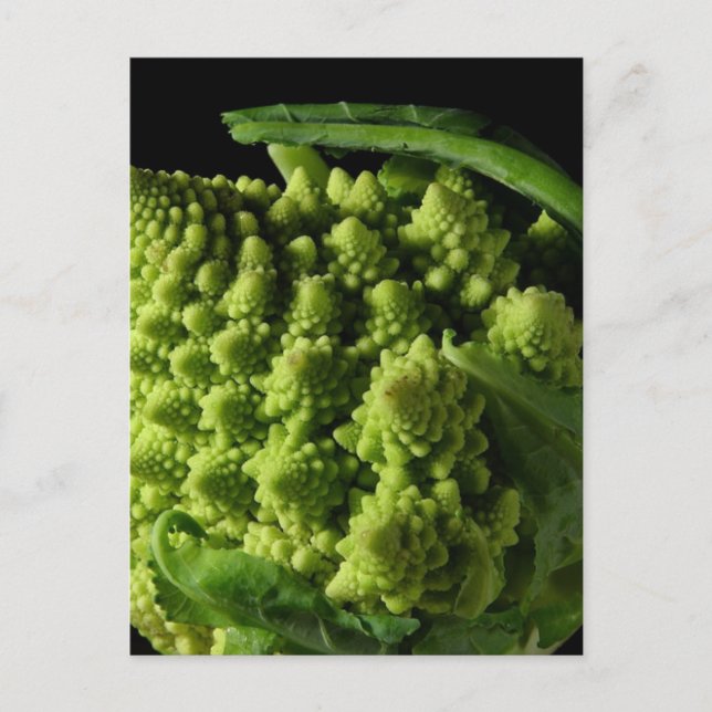 Cartão Postal Romanesco Broccoli Fractals (Frente)