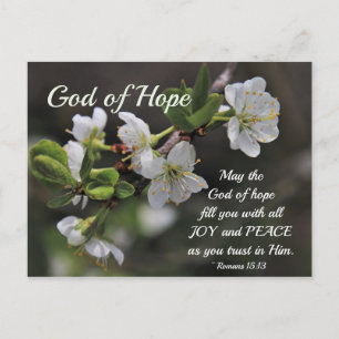 Cartão Postal Romans 15:13 God of Hope White Flowers