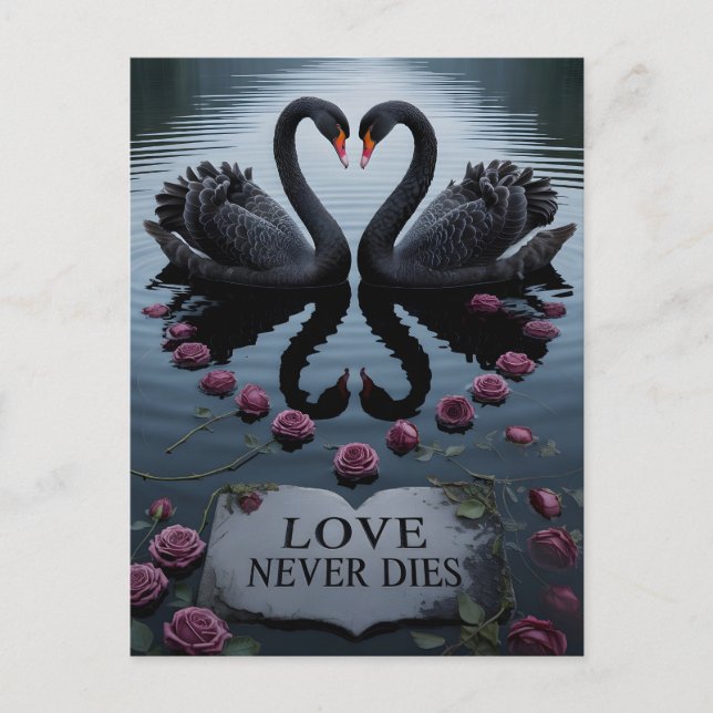 Cartão Postal Romantic Black Swans Heart Reflection with Text (Frente)
