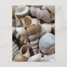 Cartão Postal Romântica Marinha Tropical Exótica Prateleira Amor