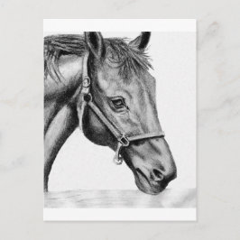 Cartão Postal Romeo