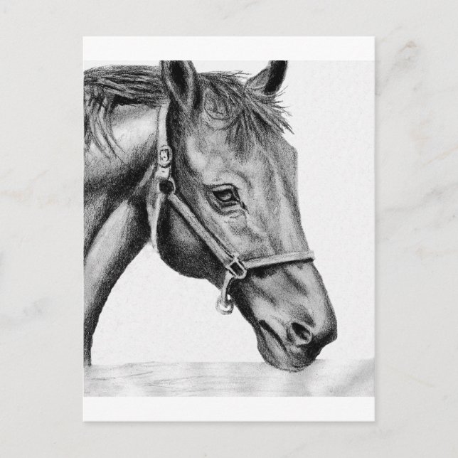 Cartão Postal Romeo (Frente)