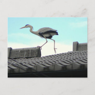 Cartão Postal Roof Walker