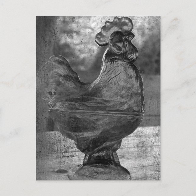Cartão Postal Rooster de vidro (Frente)
