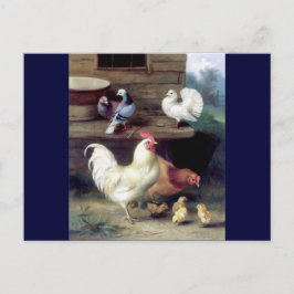Cartão Postal Rooster Hen Chicken Doves