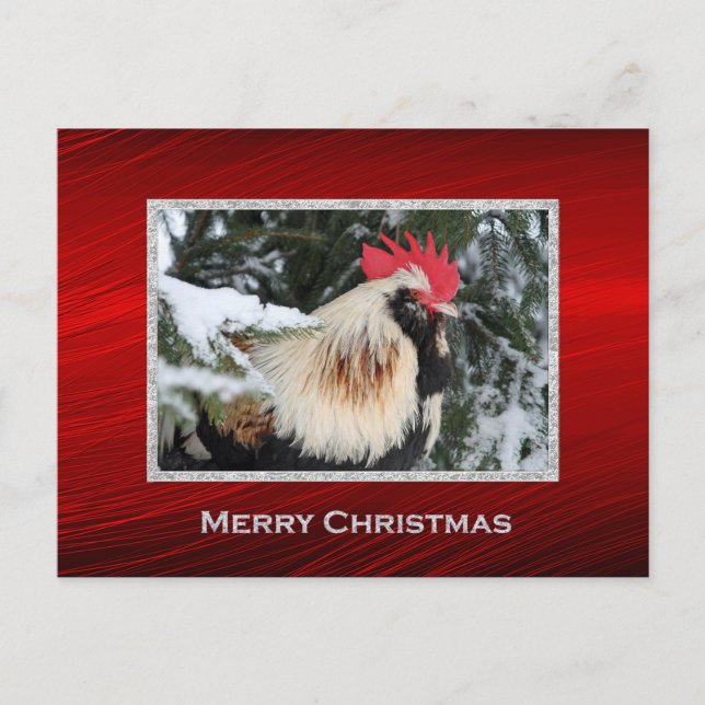 Cartão Postal Rooster Natal (Frente)