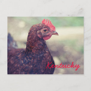 Cartão Postal Rooster por JerseyFawn